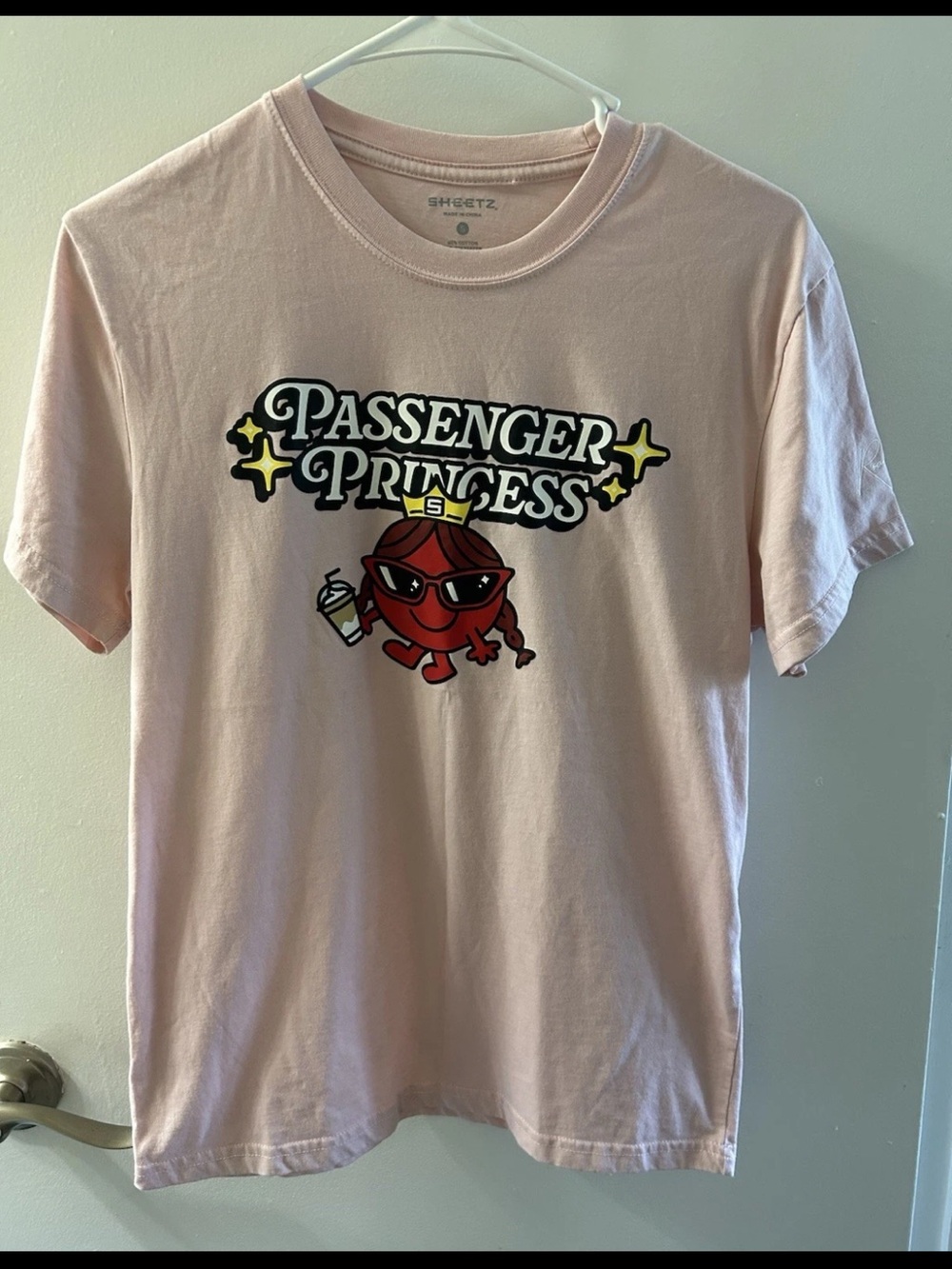 Passenger Princess Graphic Tee - Light Pink